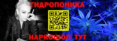 jwh Будённовск