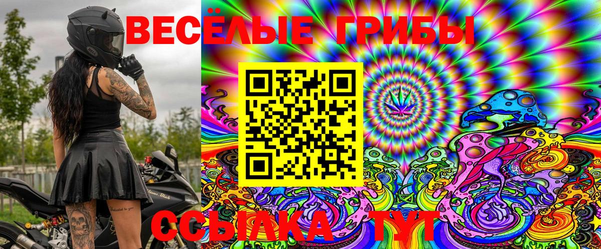Псилоцибиновые грибы Cubensis  Вход с VPN  закладка  Хасавюрт  Псилоцибиновые грибы MAGIC MUSHROOMS 